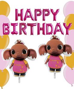 Sula Party Balloon Pack - With 16" Pink Happy Birthday Balloon Banner, 39" Foil Sula Balloons & Mixed Latex